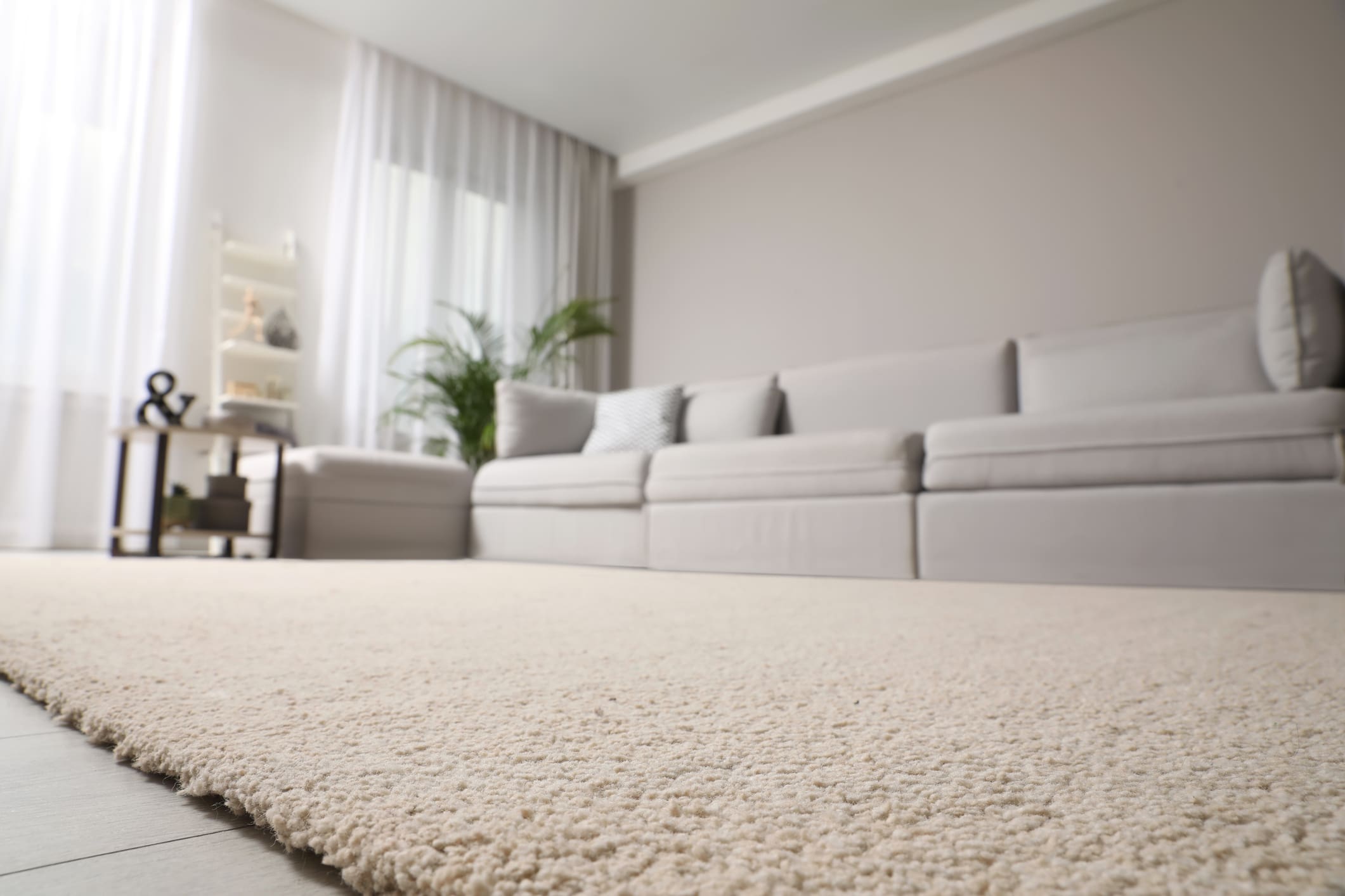 Modern living room with beige carpet.